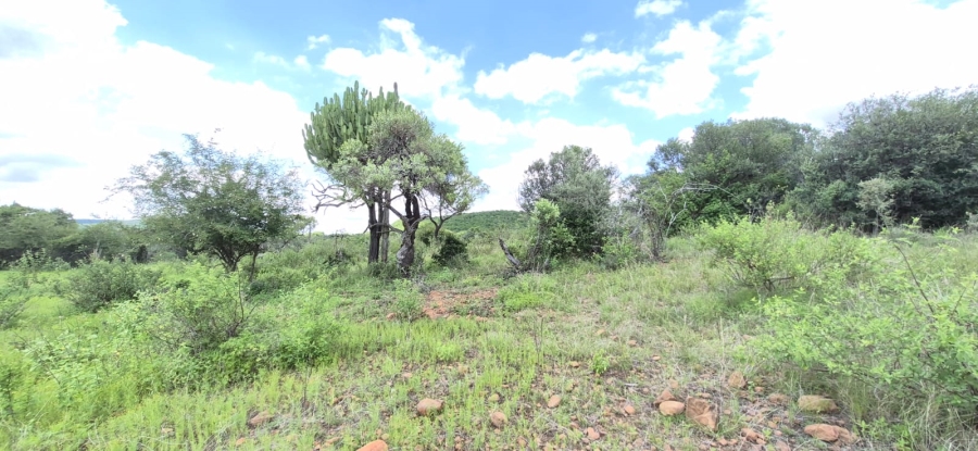 0 Bedroom Property for Sale in Koster North West